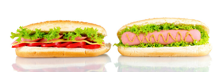 Delicious hot dog and sandwich isolated on white