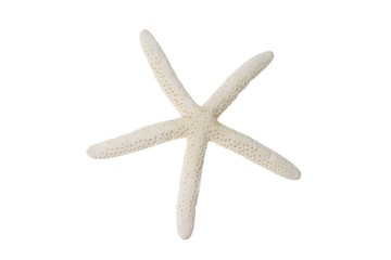 Obraz premium Seestern - Urlaubsfeeling