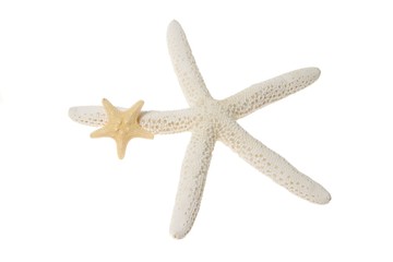 Seestern - Urlaubsfeeling