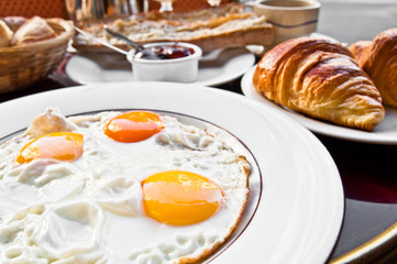 Prepared Egg - prepared egg under the sun