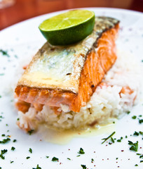 grilled salmon with sauce,lemon and tomato