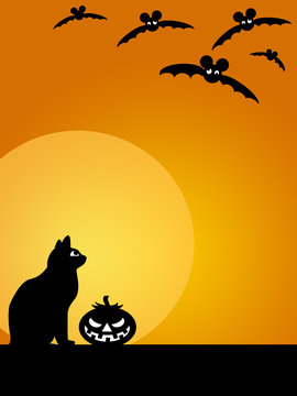 Halloween Carved Pumpkin Cat Moon and Bats