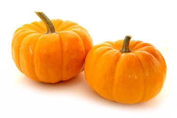 Two mini pumpkins on a white background