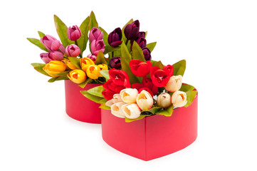 Giftbox and tulips isolated on white