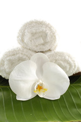 Obraz na płótnie Canvas White orchid flower and towels on banana leaf