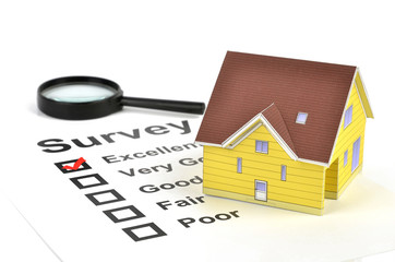 Survey