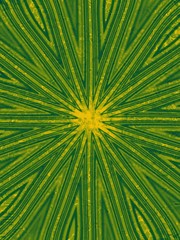 Abstract green yellow