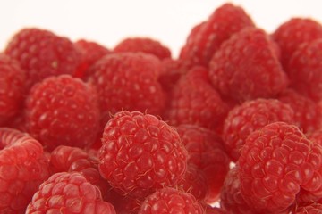 Red raspberries on white background