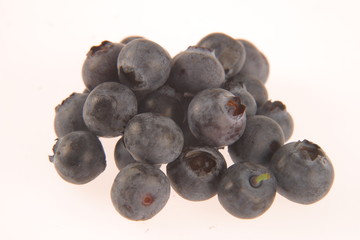 Blueberries on white background.