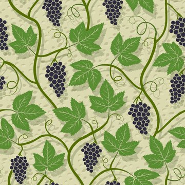 Grape, vine on wall growing seamless pattern