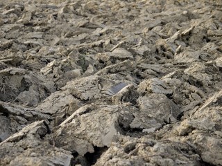 Agriculture, ploughed soil