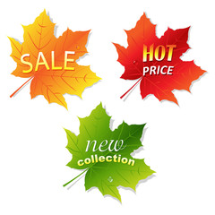 Collection Sale Leaves