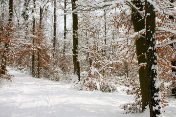 Schneelandschaft am Bach