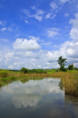 Fototapeta na wymiar View of tropical country rural, Thailand