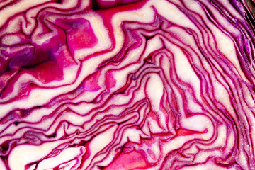 Obraz premium depth and texture of the beet, vegetables and vegetable