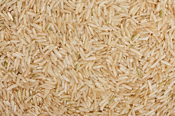 Thai rice grain