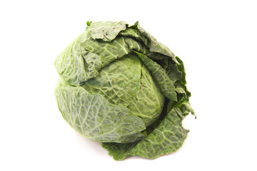 Fototapeta premium green leafy cabbage isolated on white background
