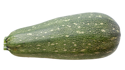 Vegetable Marrow