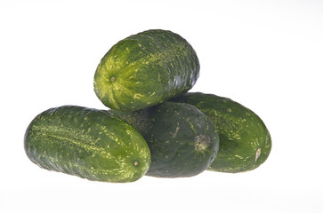 pepino2