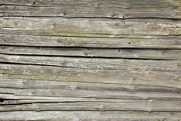 Obraz premium Old weathered screen of boards