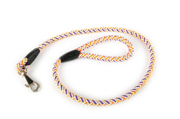 Dog collar isolated on the white background