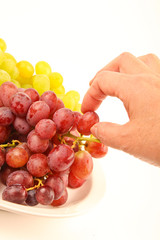 Female hand picking fresh grapes