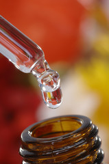 Bachblütentherapie in der Naturheilkunde Homöopathie