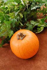 Pumpkin Next to Leaves