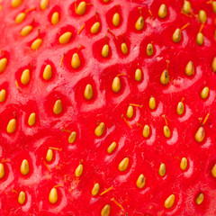 Oberfläche einer Erdbeere im Detail