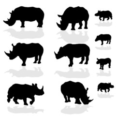 rhinoceros wils animal black silhouette