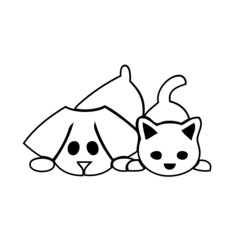 Cat and Dog puppies