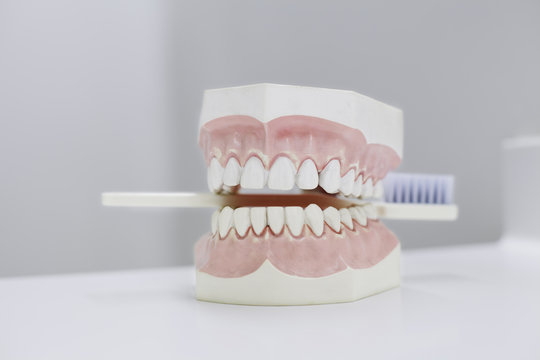 teeth with tooth-brush on the white table
