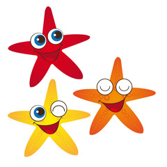 starfish vector