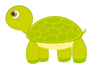 turtle cartoon