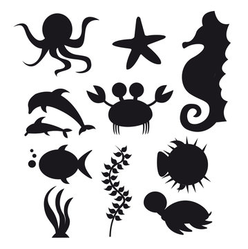 silhouette sea animals
