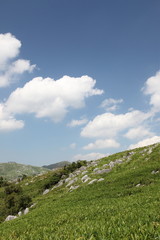 Fototapeta na wymiar Błękitne niebo i chmury i łąka krasowy płaskowyż