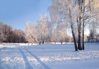 On The Winter Day