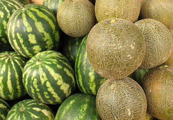 melons and watermelons