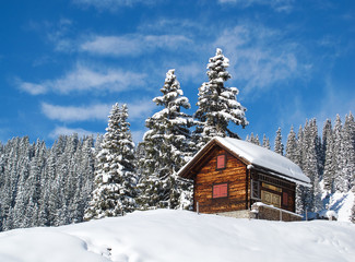 Winter in alps