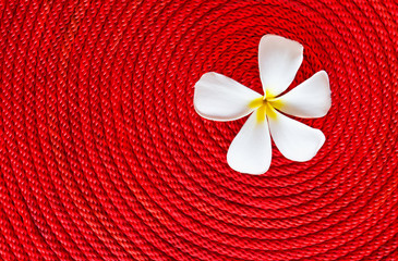 Flower on roll red rope