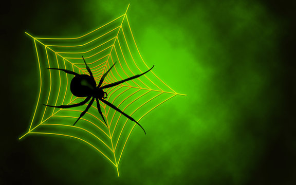 Spider web with big spider