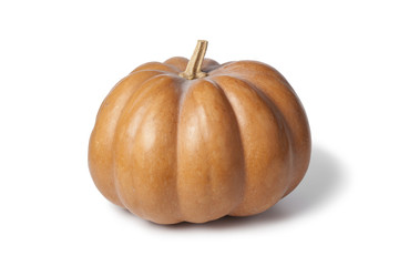 Whole Muscat de Provence pumpkin