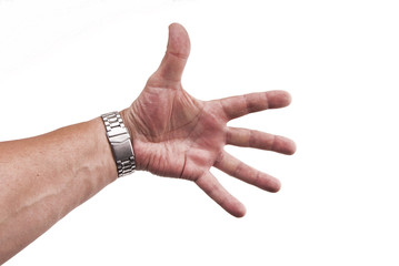 les cinq doigts de la main gauche