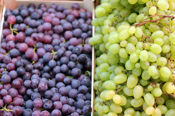 White And Black Autumn Grape