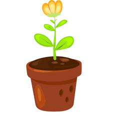 flower in a pot