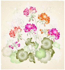 Greeting card with geranium.
