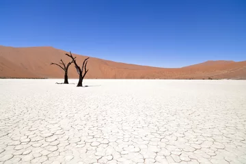 Fototapeten Dead Vlei in Namibia © Tilo Grellmann