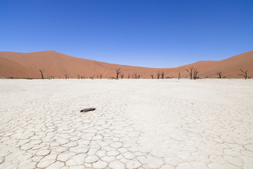 Dead Vlei in Namibia