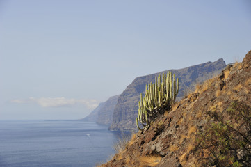 los gigantes auf teneriffa