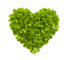 Green leaves heart